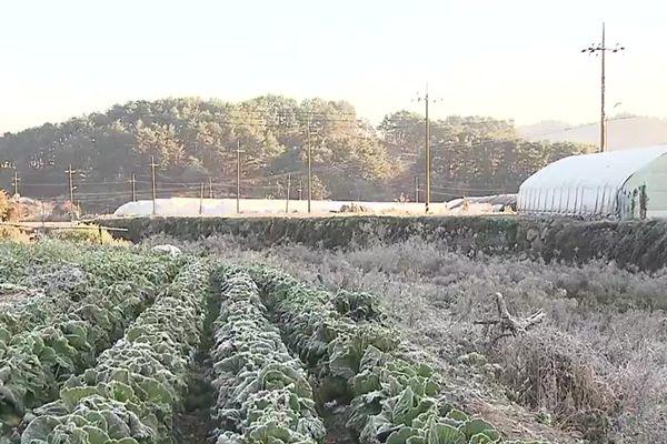 https://worldimg.kbs.co.kr/src/images/news/202610/261006102058_87_k.jpg