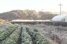 https://worldimg.kbs.co.kr/src/images/news/202610/261006102058_87_k.jpg